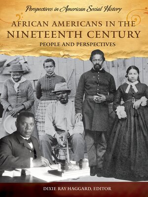 cover image of African Americans in the Nineteenth Century